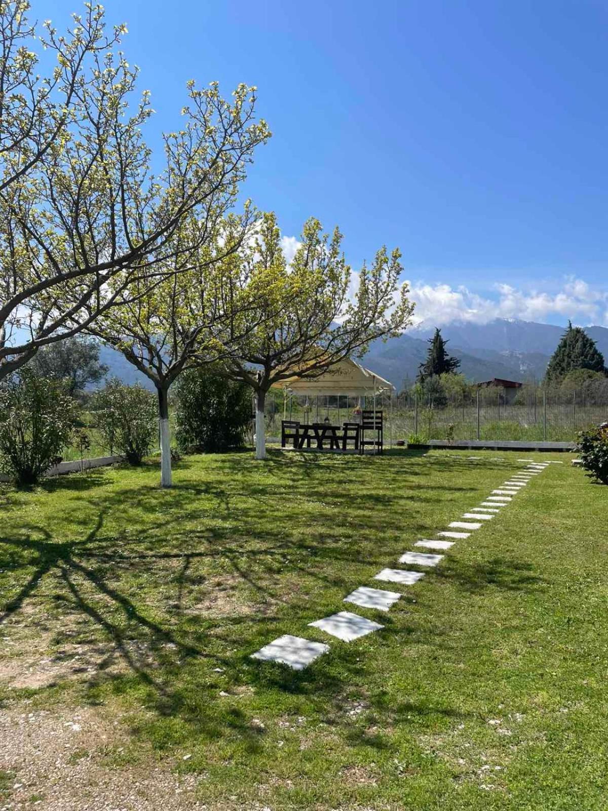 Plaka Luxury Villa Litóchoron Buitenkant foto